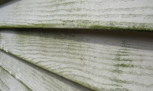 How To Tell When It’s Time To Replace Your Siding