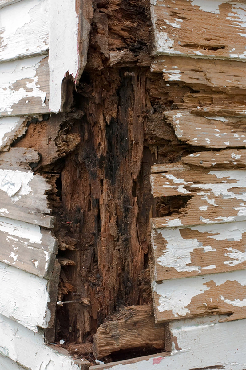 wood rotting on corner of home | sister siding