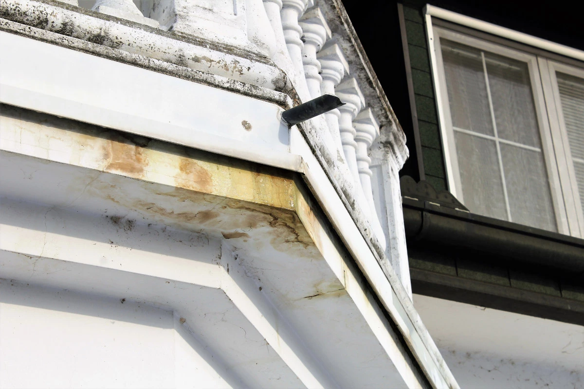 water damage on house with mold growth | sister siding