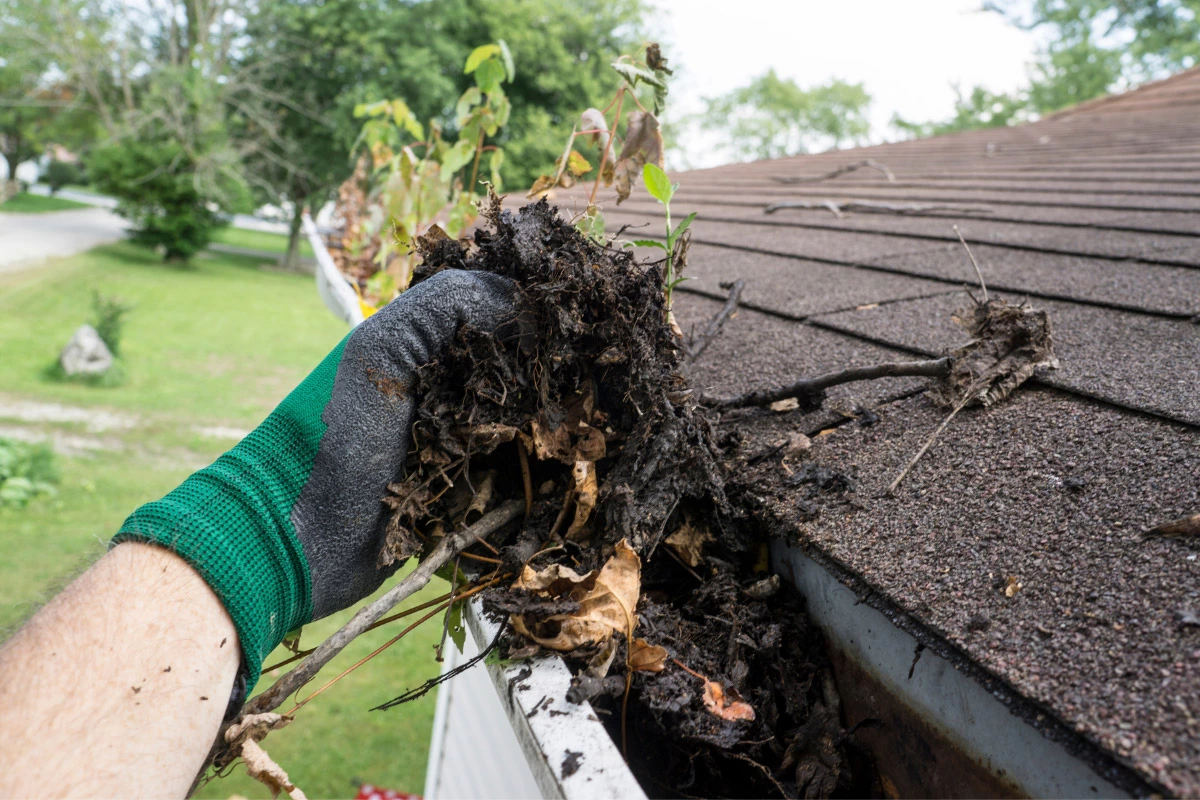 cleaning debris from gutter | sister siding