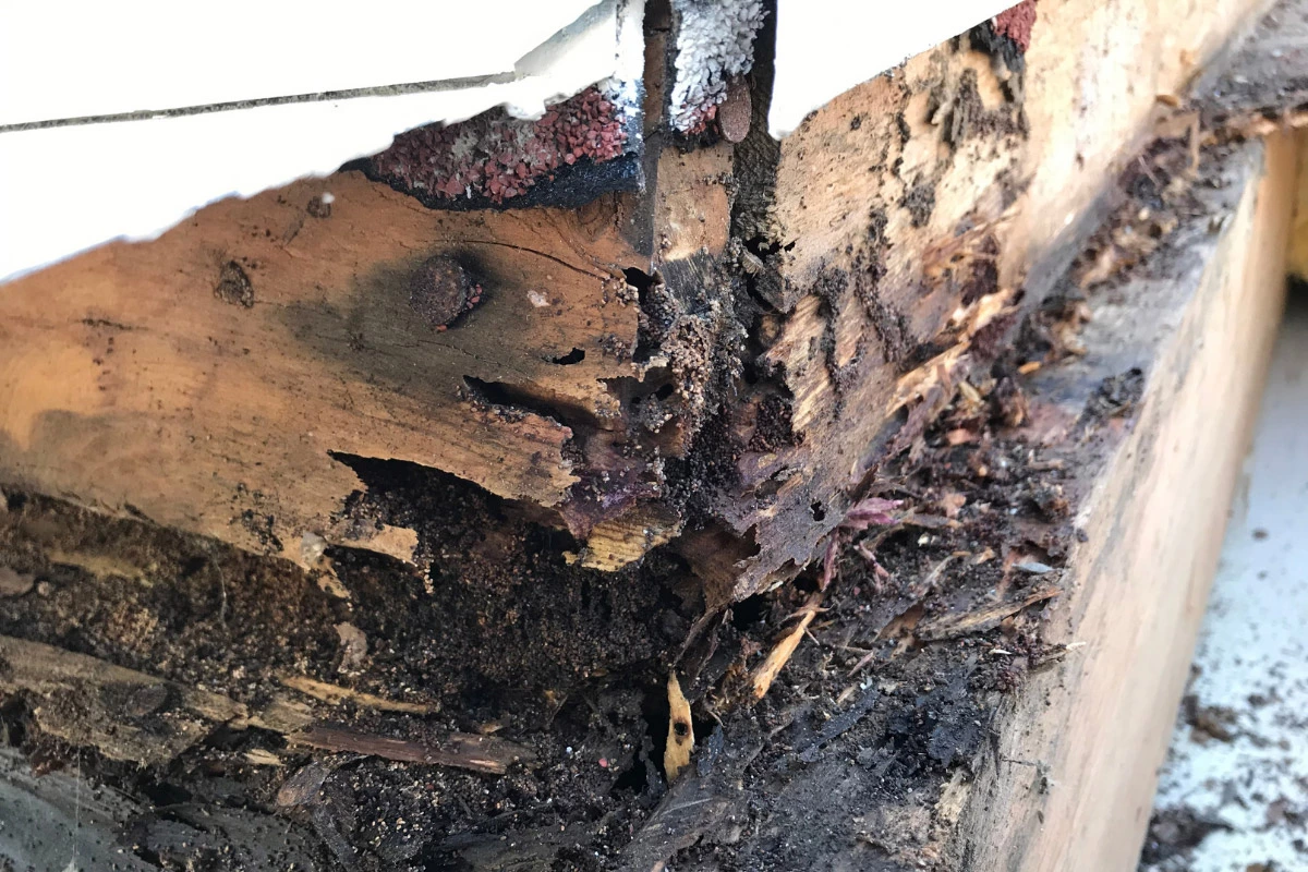 rotted siding | sister siding