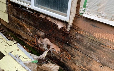 rotting-wood-under-siding-from-siding-water-damage