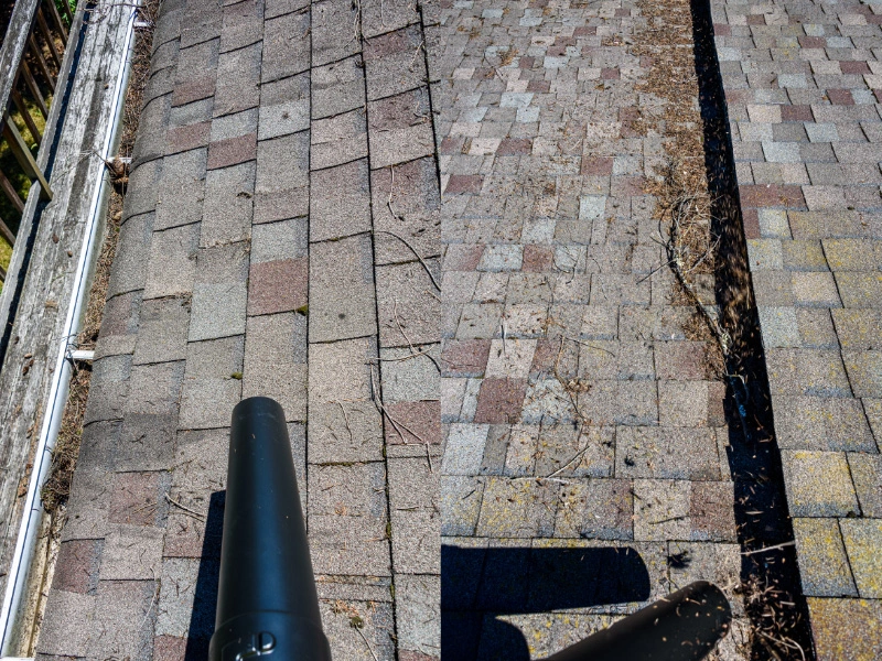 cleaning-off-roof-foliage-and-other-debris-with-leaf-blower