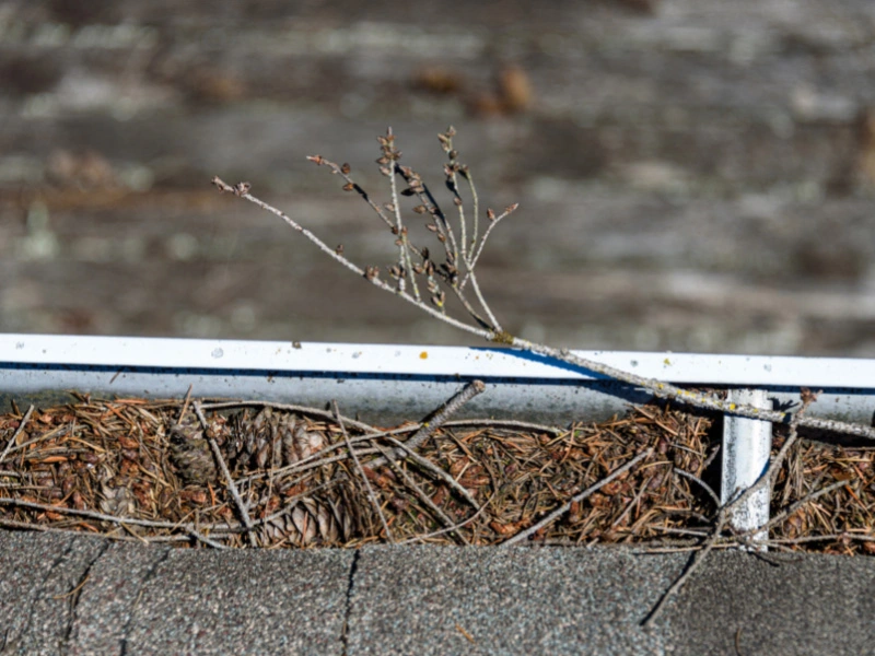 gutter-filled-with-debris-in-need-of-maintenance-cleaning