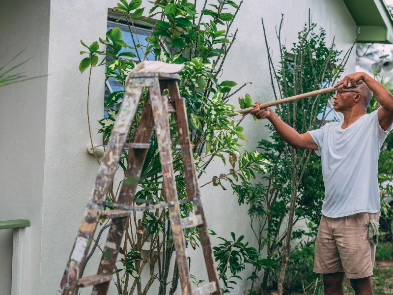 man-painting-his-siding