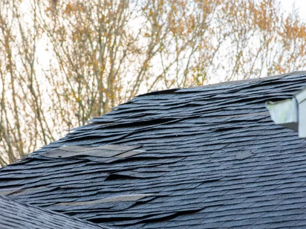 damaged-roof-shingles Damaged asphalt roof shingles with exposed underlayment