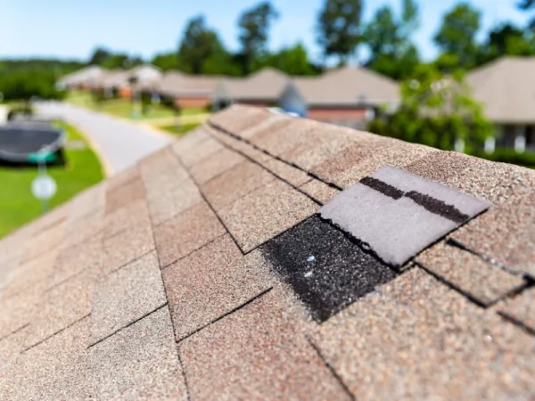roof-with-shingle-flapped-up Lifted asphalt shingles on a residential roof