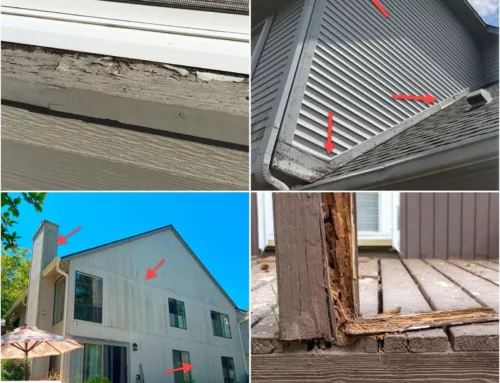 How to Prevent Dry Rot: 5 Tips from a Portland Siding Expert