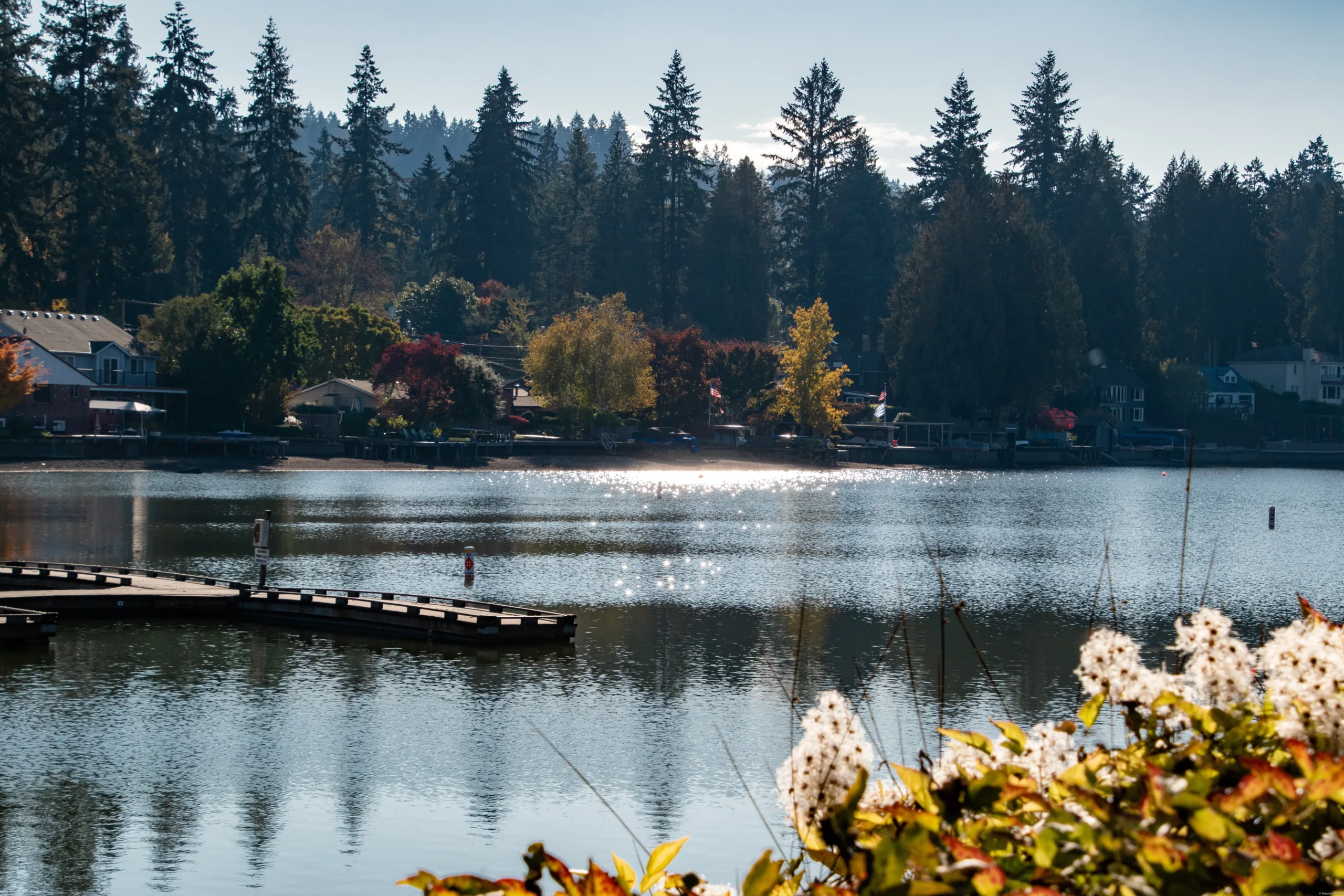 a photo of the lake at lake oswego, oregon
